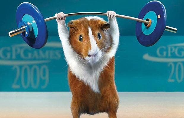 guinea-pig-weight.jpg