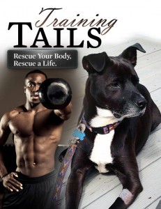 training_tailscover